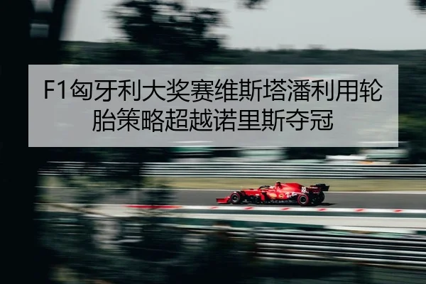 F1匈牙利大奖赛维斯塔潘利用轮胎策略超越诺里斯夺冠
