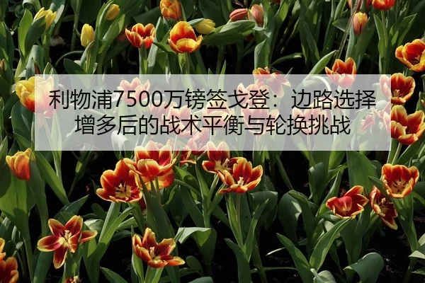 利物浦7500万镑签戈登：边路选择增多后的战术平衡与轮换挑战